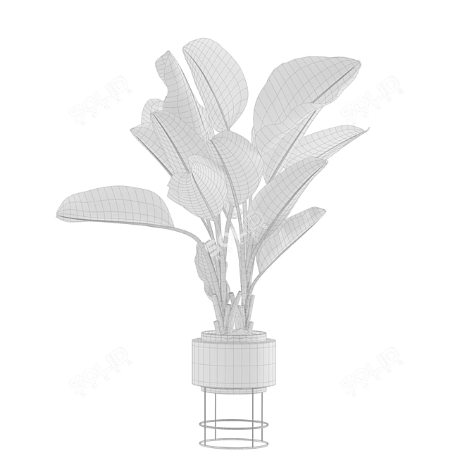 Tropical Oasis Indoor Plant Pack 3D model image 6