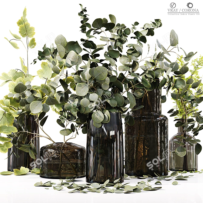 Premium Indoor Plant Collection 3D model image 1