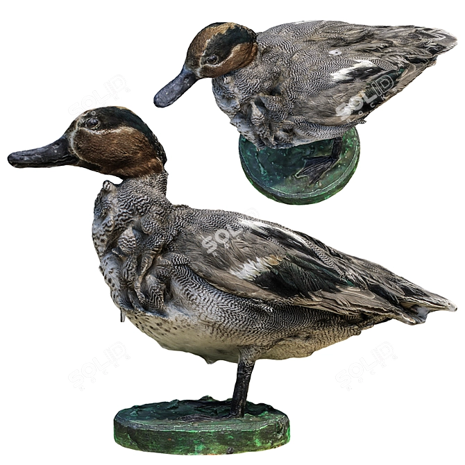 Elegant Duck Sculpture - High Detail 3D Model 3D model image 1