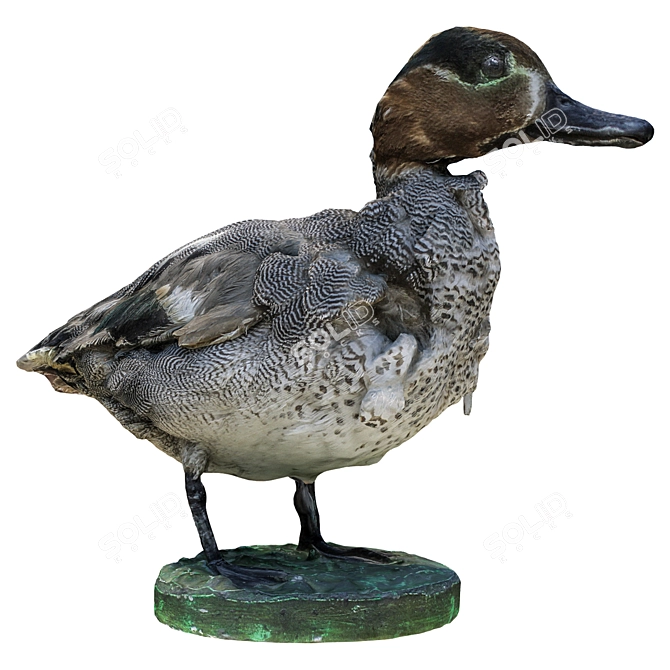 Elegant Duck Sculpture - High Detail 3D Model 3D model image 4