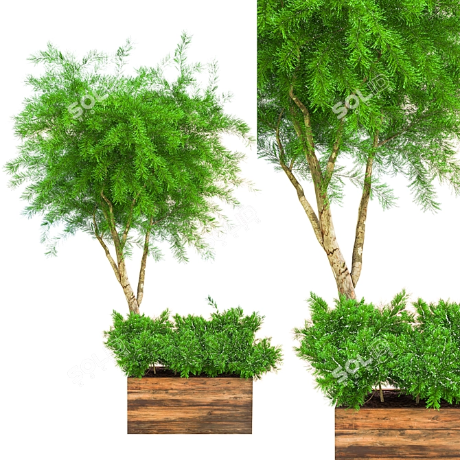 Ultimate Outdoor Plant Collection 3D model image 1