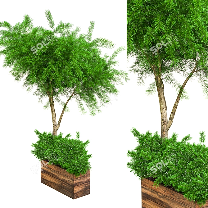 Ultimate Outdoor Plant Collection 3D model image 2