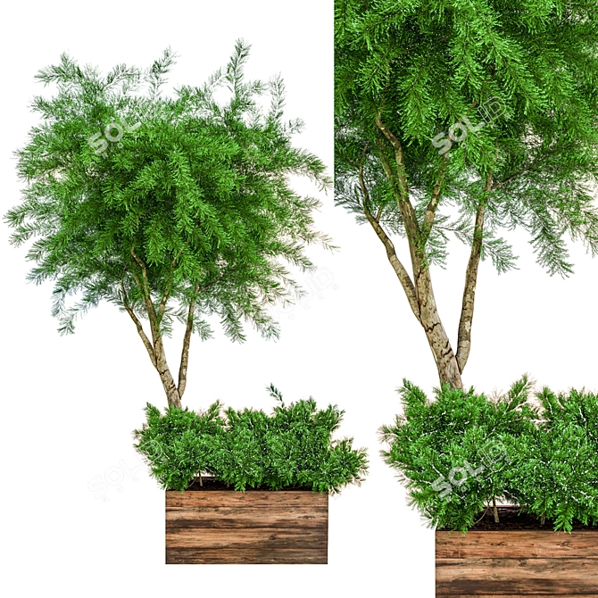 Ultimate Outdoor Plant Collection 3D model image 4