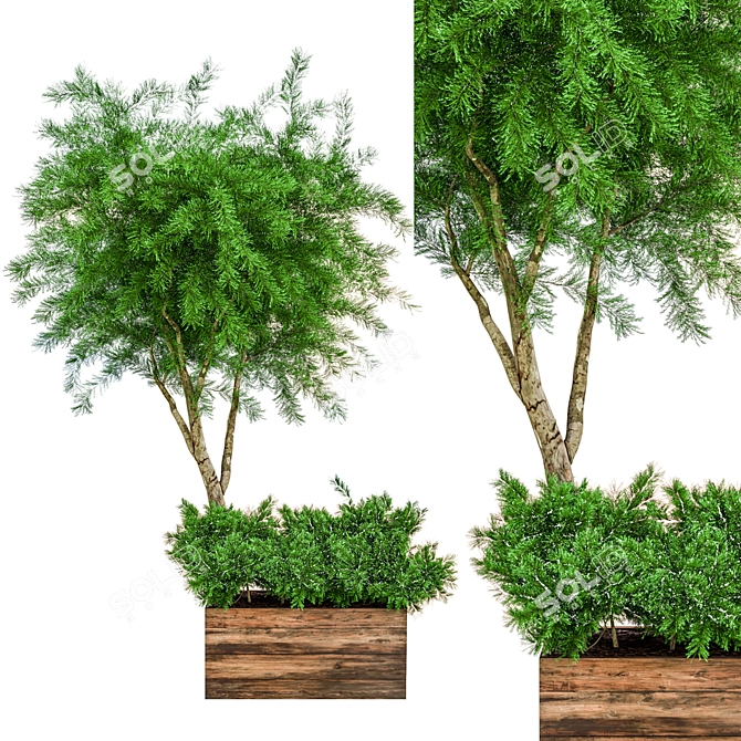 Ultimate Outdoor Plant Collection 3D model image 6
