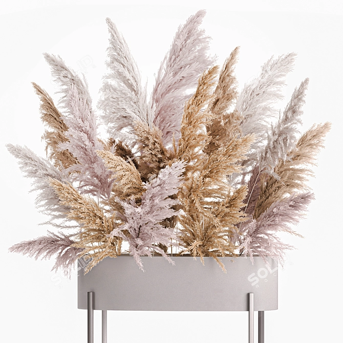 Elegant Reed Bouquet: White Phragmites & Pampas Grass 3D model image 3