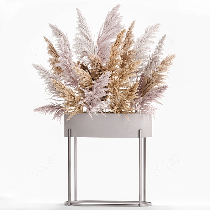 Elegant Reed Bouquet: White Phragmites & Pampas Grass 3D model image 5