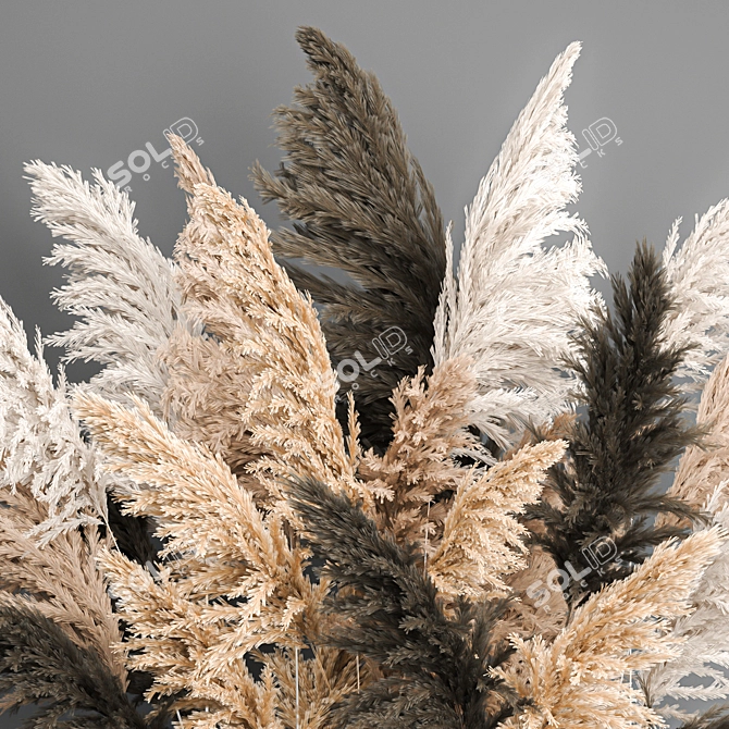 Elegant Dry Reed Bouquet 3D model image 5