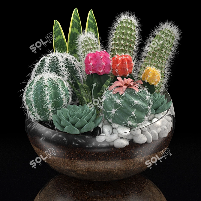 Desert Collection: Cactus Bowl 3D model image 1