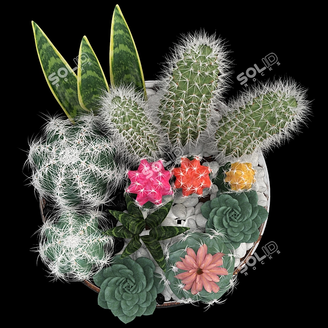 Desert Collection: Cactus Bowl 3D model image 2