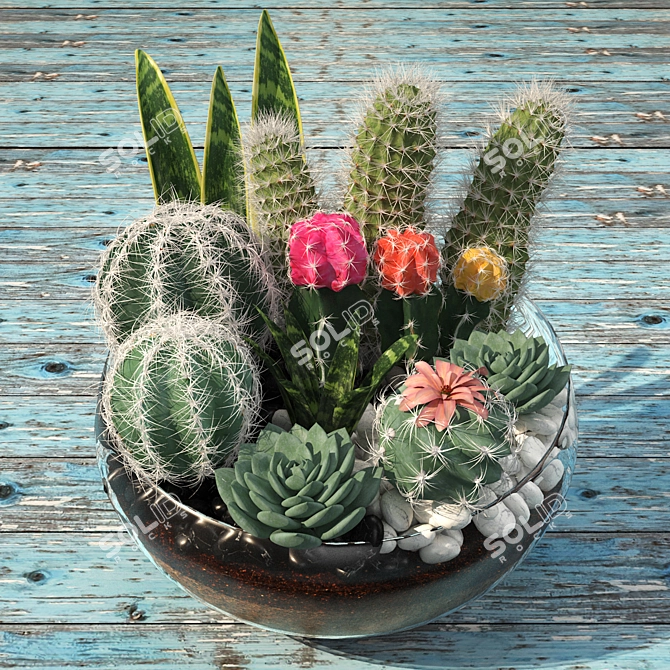 Desert Collection: Cactus Bowl 3D model image 5