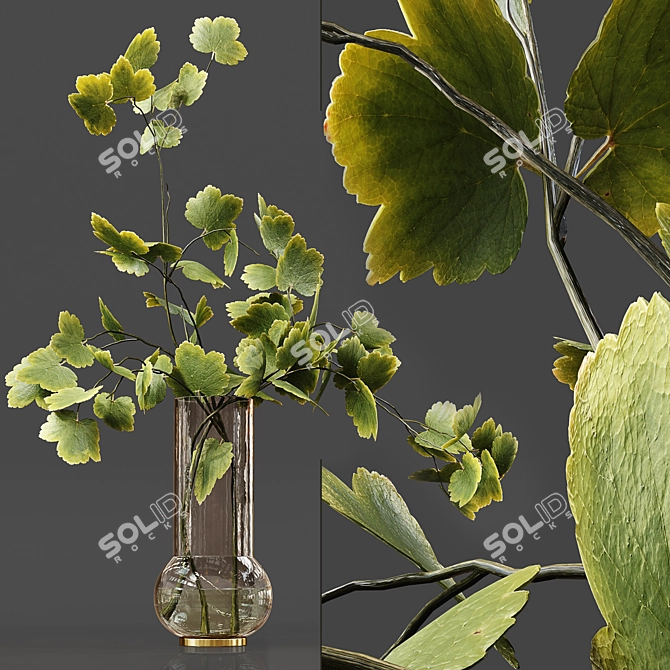 Luxury Indoor Plant Collection 3D model image 2