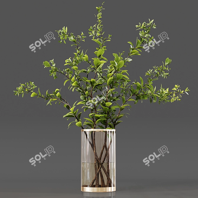 Luxury Indoor Plant Collection 3D model image 3