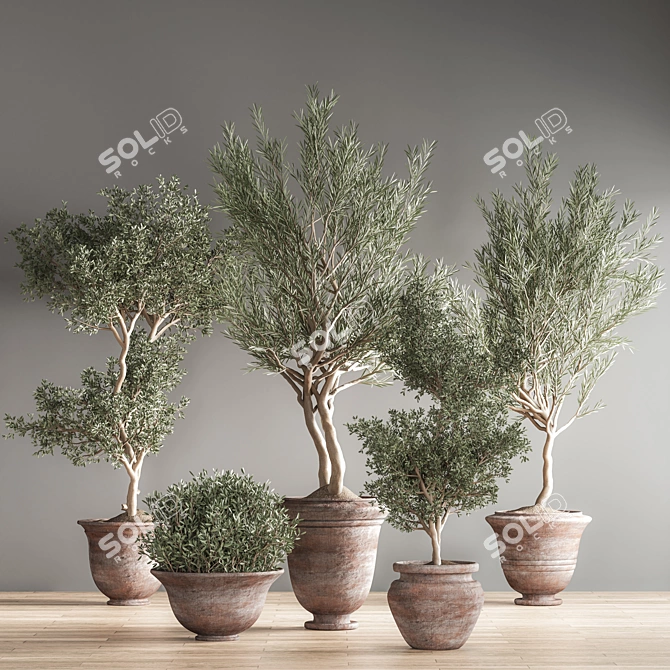 Lush Green Indoor Plant Set 3D model image 2