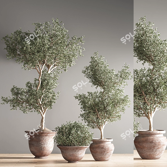 Lush Green Indoor Plant Set 3D model image 3