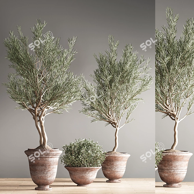 Lush Green Indoor Plant Set 3D model image 4