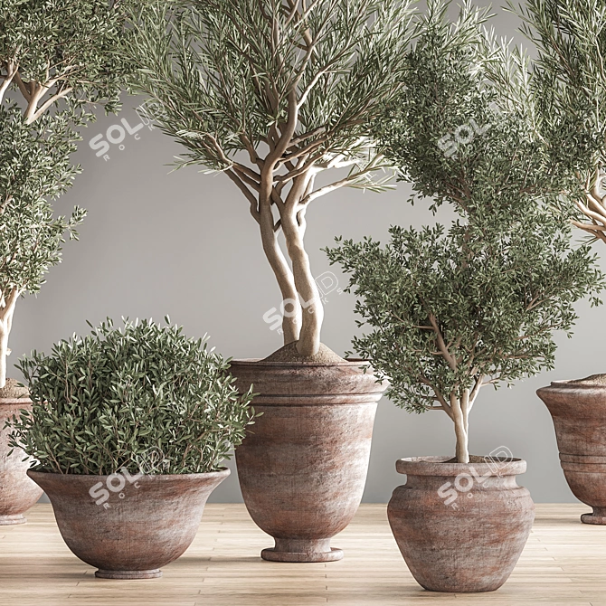 Lush Green Indoor Plant Set 3D model image 6