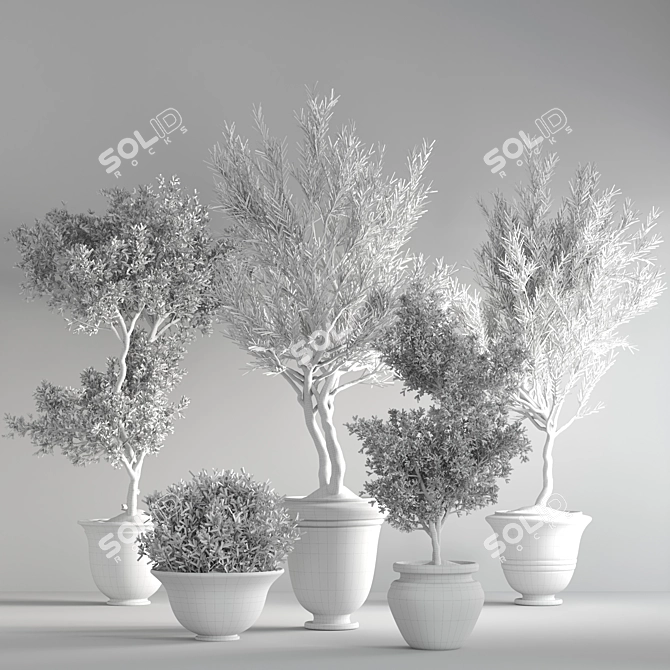 Lush Green Indoor Plant Set 3D model image 7