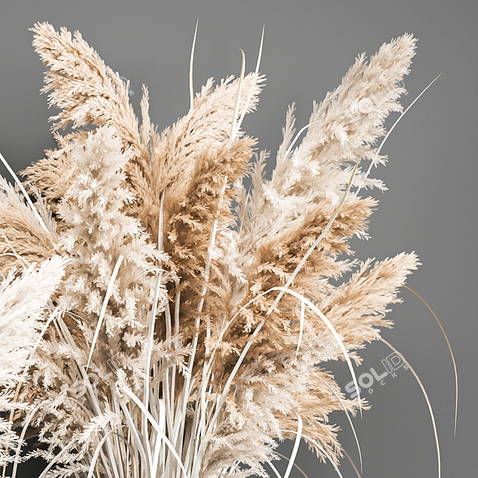 Title: Vintage White Reed Bouquet 3D model image 4