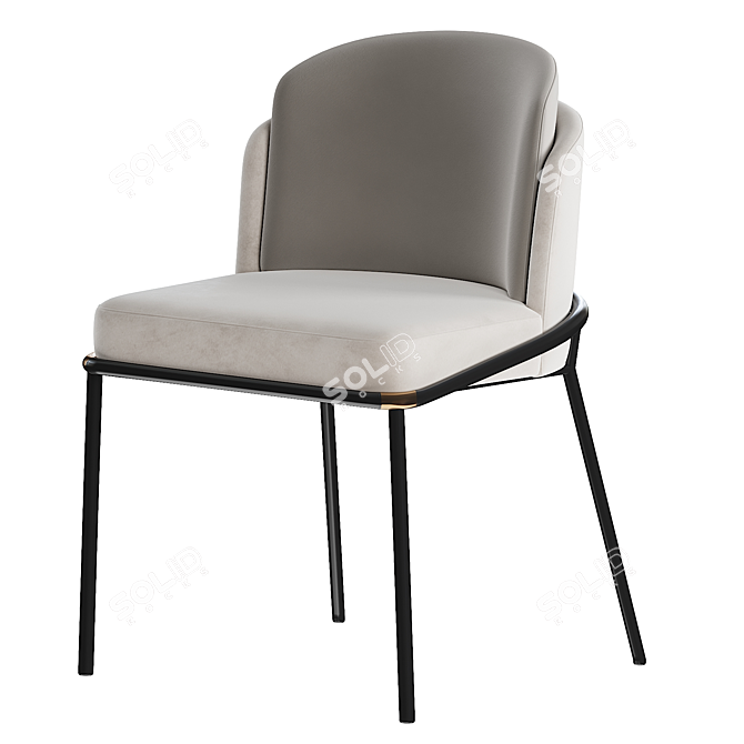 Elegant Fil Noir Dining Chair 3D model image 2