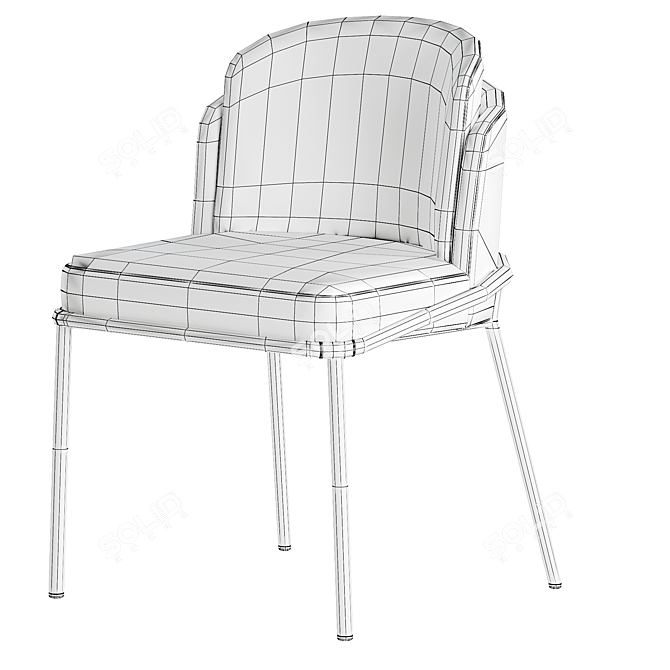 Elegant Fil Noir Dining Chair 3D model image 5