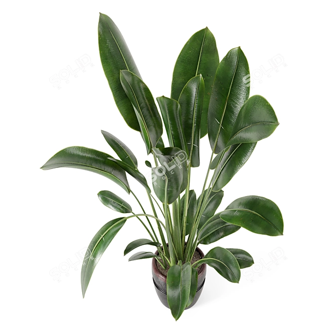 Rusty Concrete Indoor Plants Set 3D model image 4