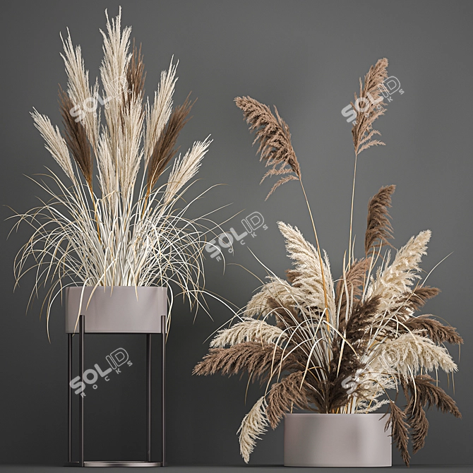Pampas Grass Collection: Dried Reed and Stabilized Flowers 3D model image 1