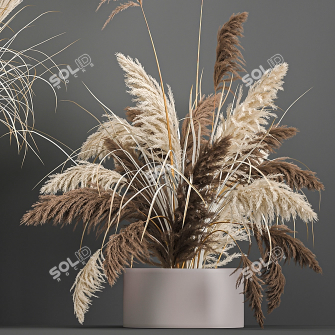 Pampas Grass Collection: Dried Reed and Stabilized Flowers 3D model image 2