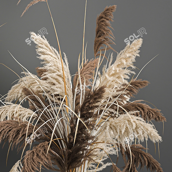 Pampas Grass Collection: Dried Reed and Stabilized Flowers 3D model image 4