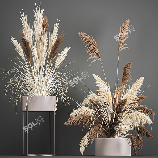 Pampas Grass Collection: Dried Reed and Stabilized Flowers 3D model image 7