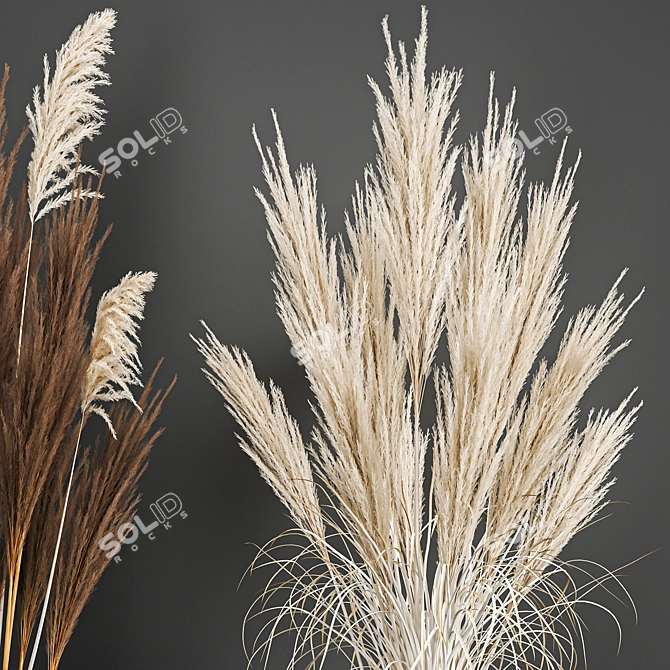 White Reed Bouquet in Vase 3D model image 2