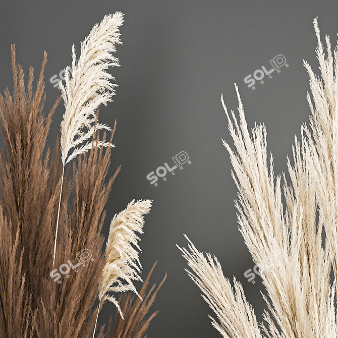 White Reed Bouquet in Vase 3D model image 3