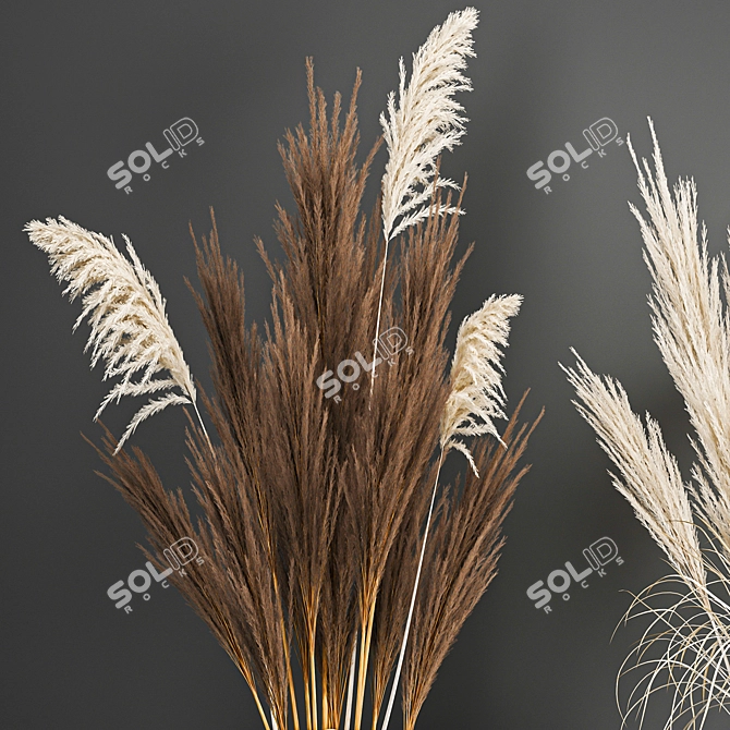 White Reed Bouquet in Vase 3D model image 4