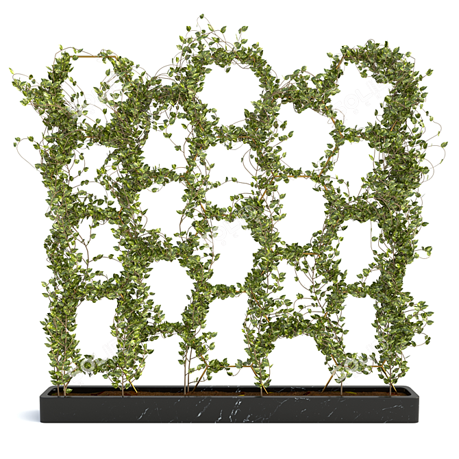 Lush Ivy Plant Set - 3D Max Modeling 3D model image 1