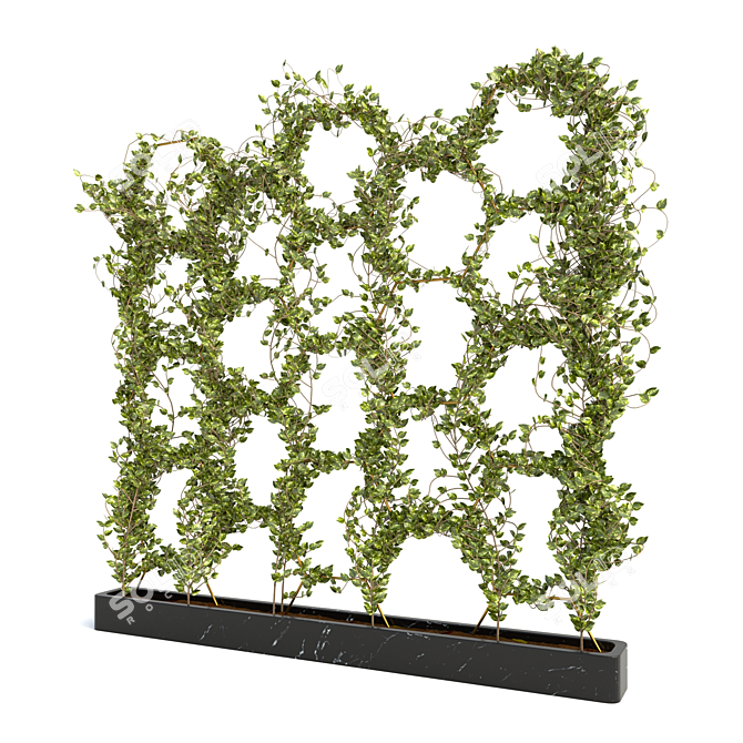 Lush Ivy Plant Set - 3D Max Modeling 3D model image 2