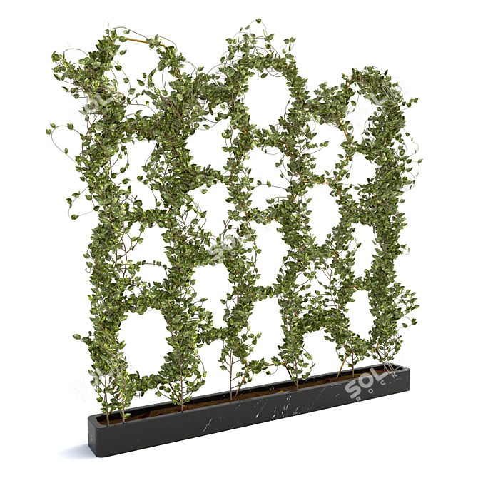 Lush Ivy Plant Set - 3D Max Modeling 3D model image 3