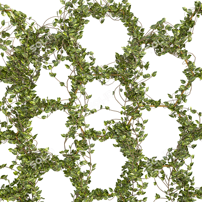 Lush Ivy Plant Set - 3D Max Modeling 3D model image 4