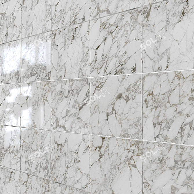 Caesar Anima EVER - Italian-made Wall/Floor Tile Collection 3D model image 7
