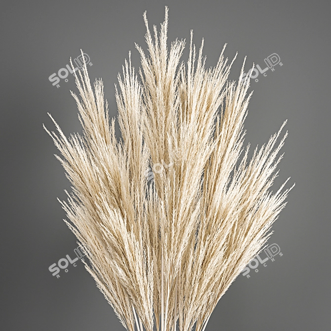 Reed Bouquet in Menu Cyclades Vase 3D model image 2