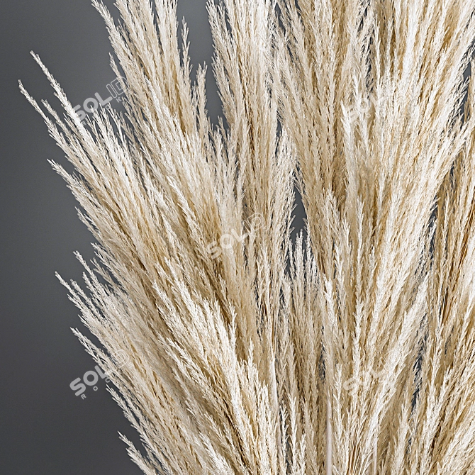 Reed Bouquet in Menu Cyclades Vase 3D model image 4