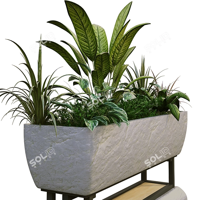 Lush Greenery Box Set 3D model image 4