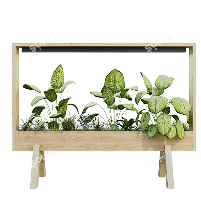 EcoPlant Box Set 189: Lush & Green 3D model image 5
