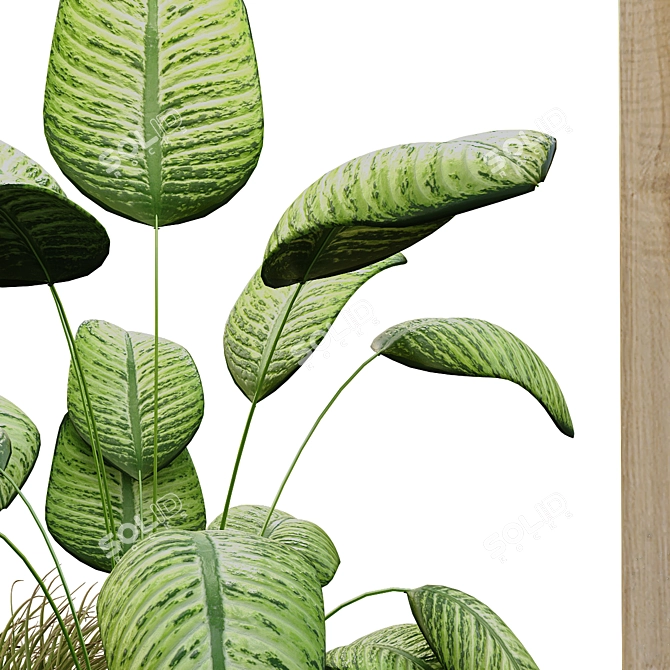 EcoPlant Box Set 189: Lush & Green 3D model image 6