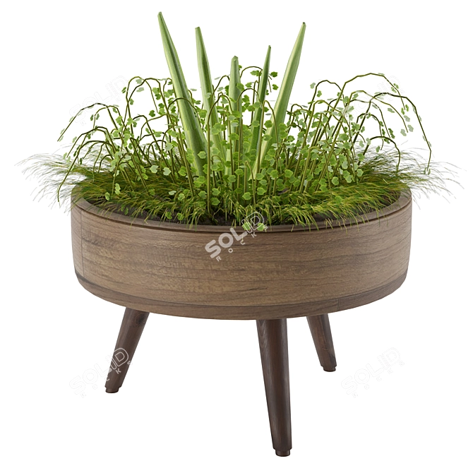 Versatile Indoor/Outdoor Plant 3D model image 1