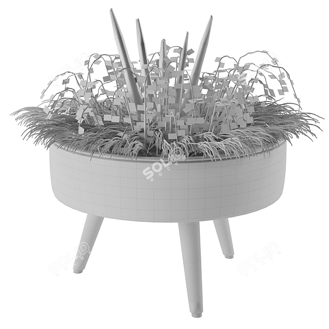 Versatile Indoor/Outdoor Plant 3D model image 2