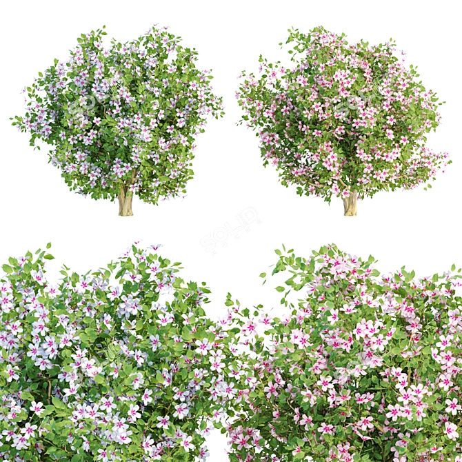 Vibrant Blooms Bushes Set 3D model image 1