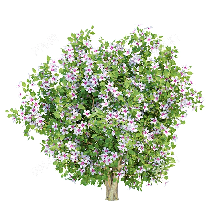 Vibrant Blooms Bushes Set 3D model image 3