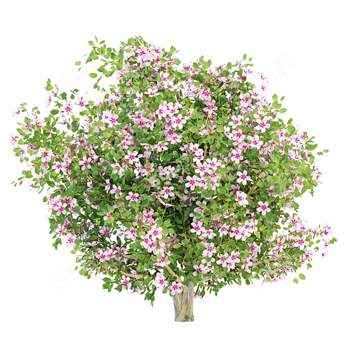 Vibrant Blooms Bushes Set 3D model image 4