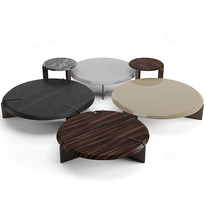 Minotti Keel Round Coffee Tables Set 3D model image 1