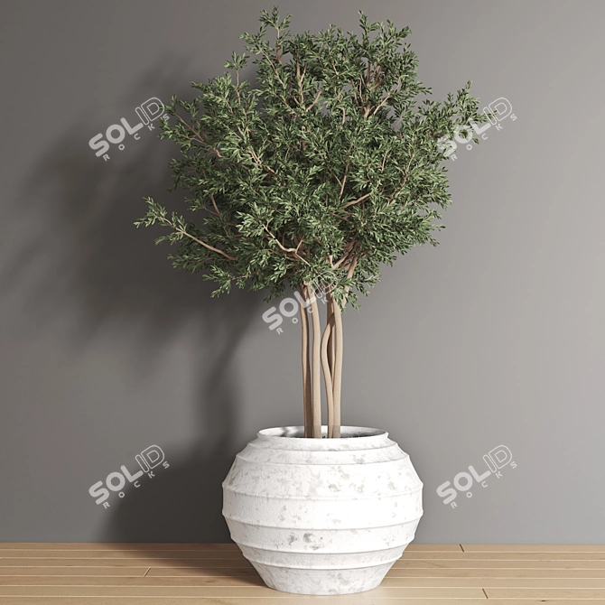 2015 Plant_01 - Centimeters, Vray/Corona, 3Ds Max, OBJ, FBX 3D model image 2