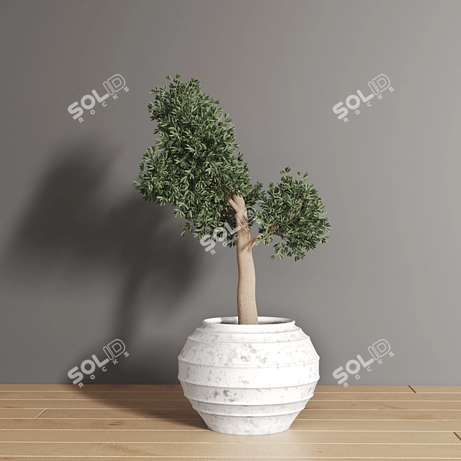 2015 Plant_01 - Centimeters, Vray/Corona, 3Ds Max, OBJ, FBX 3D model image 3